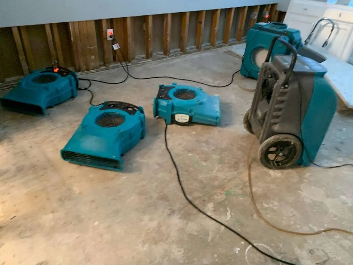 Contents Cleaning & Restoration in Ann Arbor, MI